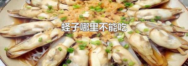 蛏子哪里不能吃