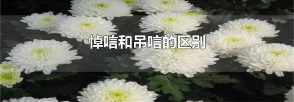 悼唁和吊唁的区别
