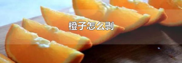 橙子怎么剥