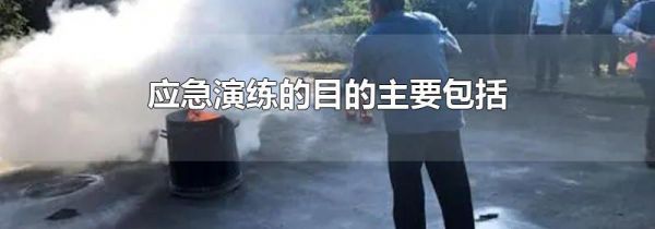 应急演练的目的主要包括