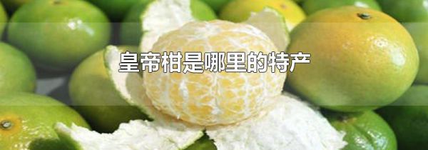 皇帝柑是哪里的特产