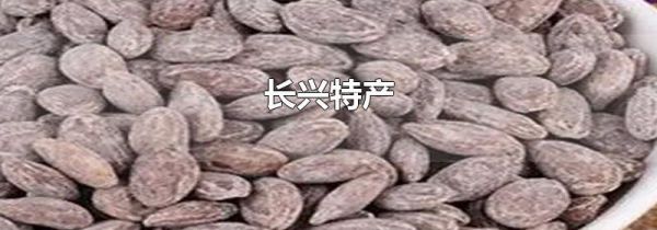 长兴特产