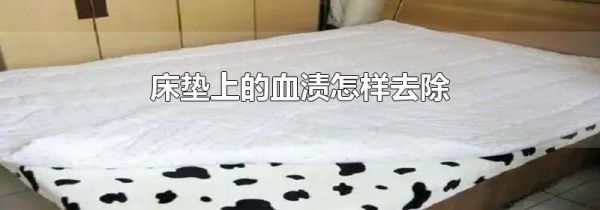 床垫上的血渍怎样去除