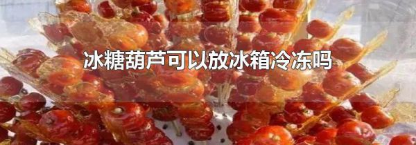 冰糖葫芦可以放冰箱冷冻吗