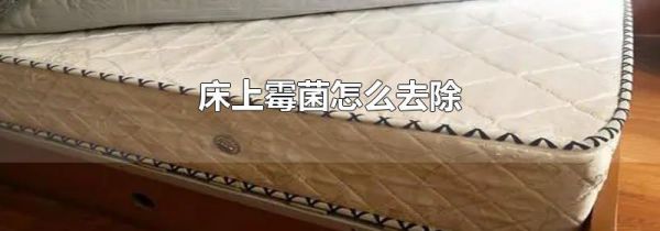 床上霉菌怎么去除