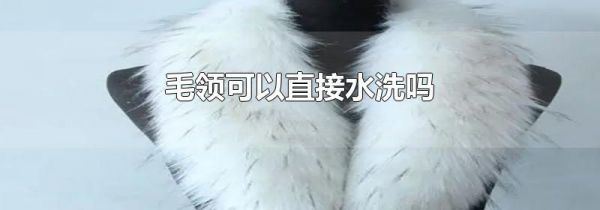 毛领可以直接水洗吗