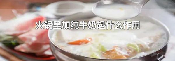 火锅里加纯牛奶起什么作用