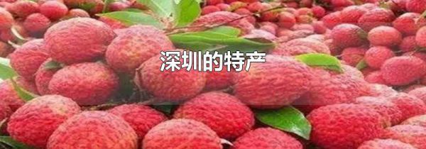 深圳的特产