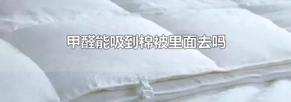甲醛能吸到棉被里面去吗