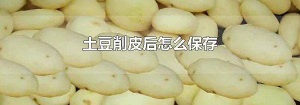 土豆削皮后怎么保存