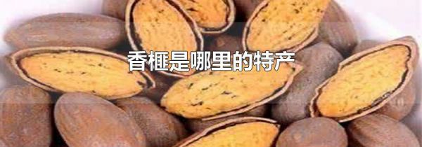 香榧是哪里的特产