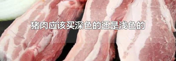 猪肉应该买深色的还是浅色的