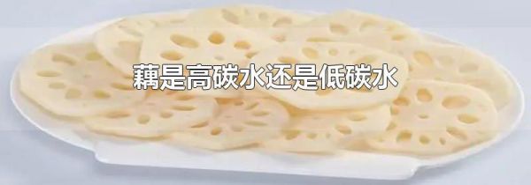 藕是高碳水还是低碳水
