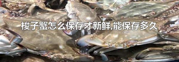 梭子蟹怎么保存才新鲜,能保存多久