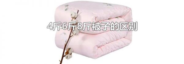 4斤6斤8斤被子的区别
