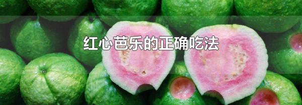 红心芭乐的正确吃法