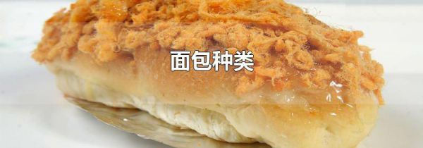 面包种类
