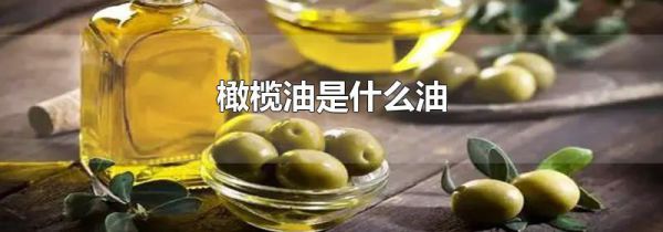 橄榄油是什么油