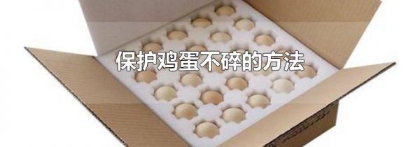 保护鸡蛋不碎的方法