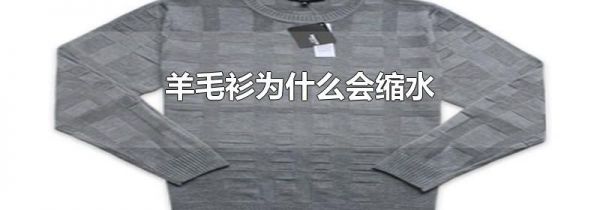 羊毛衫为什么会缩水