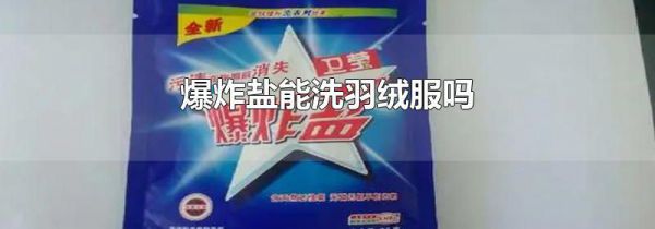 爆炸盐能洗羽绒服吗