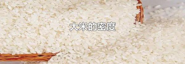 大米的密度