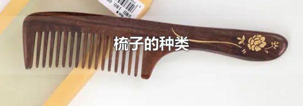 梳子的种类