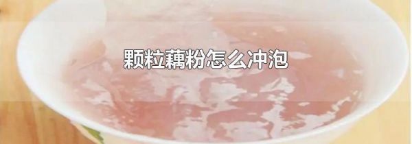 颗粒藕粉怎么冲泡
