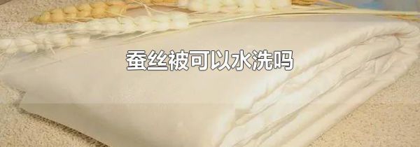 蚕丝被可以水洗吗