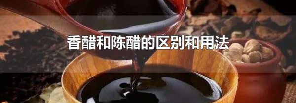 香醋和陈醋的区别和用法