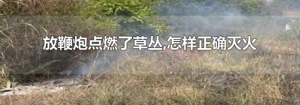 放鞭炮点燃了草丛,怎样正确灭火