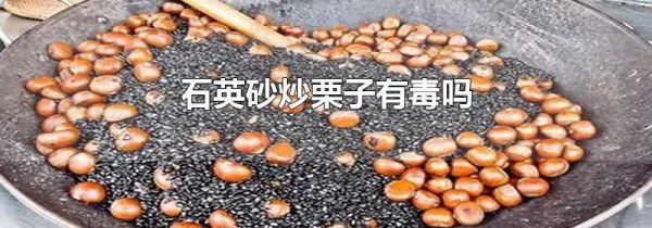 石英砂炒栗子有毒吗