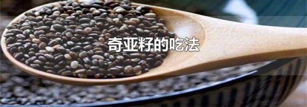 奇亚籽的吃法