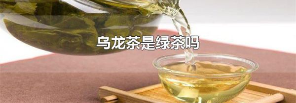 乌龙茶是绿茶吗