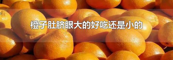 橙子肚脐眼大的好吃还是小的