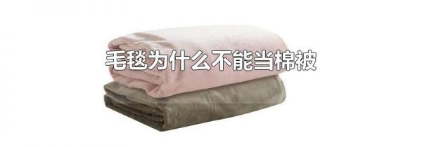 毛毯为什么不能当棉被