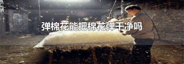 弹棉花能把棉花弹干净吗