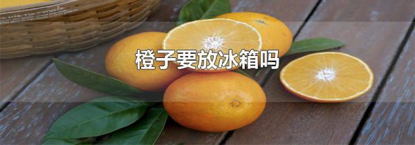 橙子要放冰箱吗
