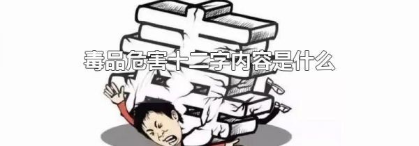 毒品危害十二字内容是什么