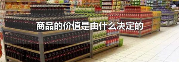 商品的价值是由什么决定的