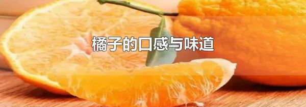 橘子的口感与味道