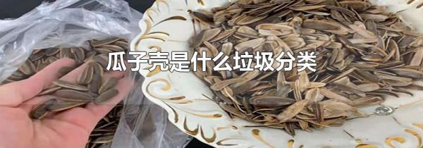 瓜子壳是什么垃圾分类