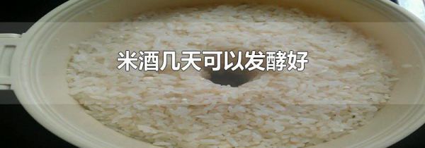 米酒几天可以发酵好