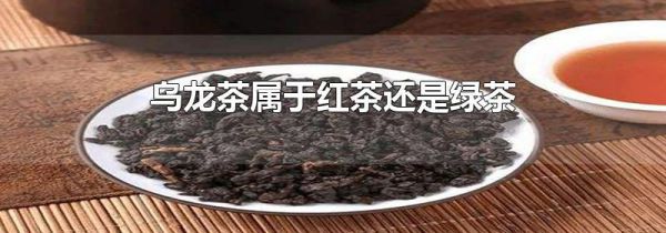 乌龙茶属于红茶还是绿茶