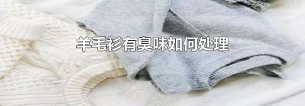 羊毛衫有臭味如何处理