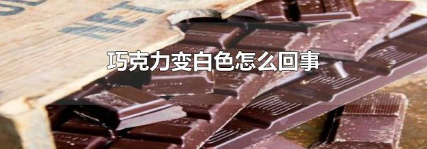 巧克力变白色怎么回事