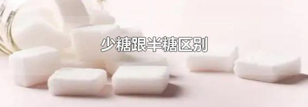 少糖跟半糖区别