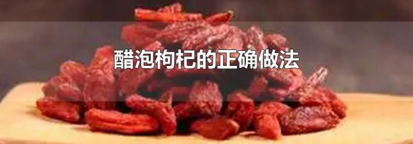 醋泡枸杞的正确做法