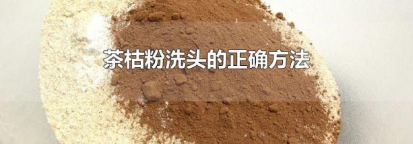 茶枯粉洗头的正确方法