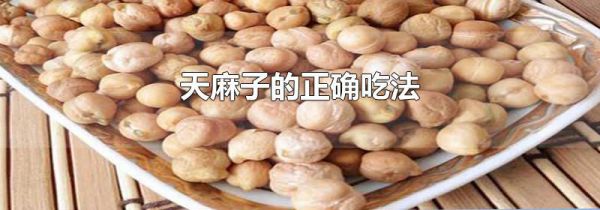 天麻子的正确吃法